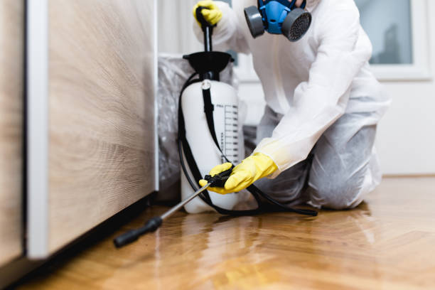 Best Bed Bug Extermination  in Dowagiac, MI