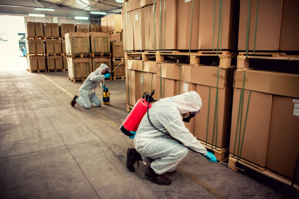 Best Pest Control for Businesses  in Dowagiac, MI