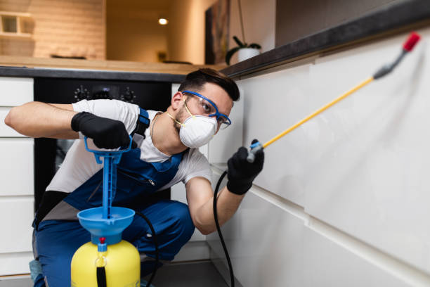 Best Pest Control Cost  in Dowagiac, MI