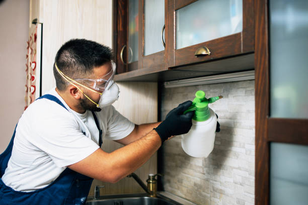 Best Affordable Pest Control Services  in Dowagiac, MI