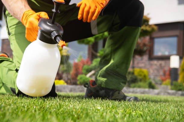Best Pest Inspection Near Me  in Dowagiac, MI