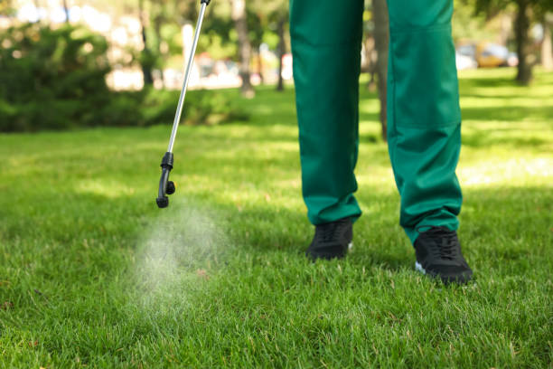 Best Ant Control Services  in Dowagiac, MI