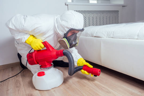Trusted Dowagiac, MI Pest Control Experts