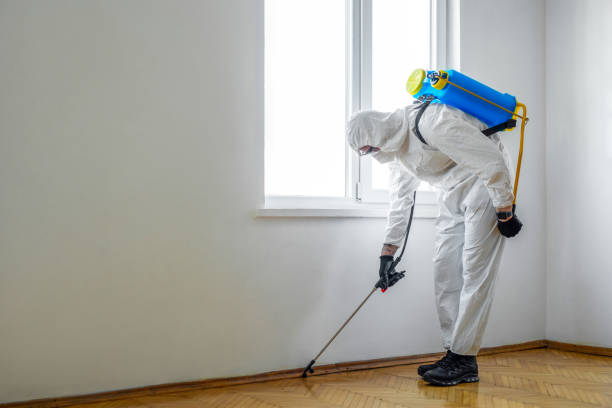 Best Pest Control for Homes  in Dowagiac, MI