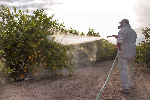 Best Bed Bug Extermination  in Dowagiac, MI