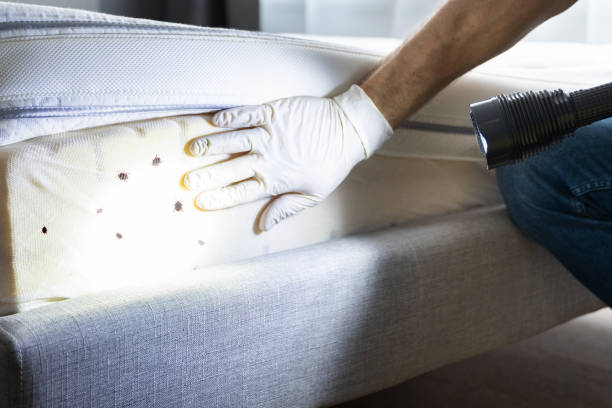 Best Best Pest Control Companies  in Dowagiac, MI