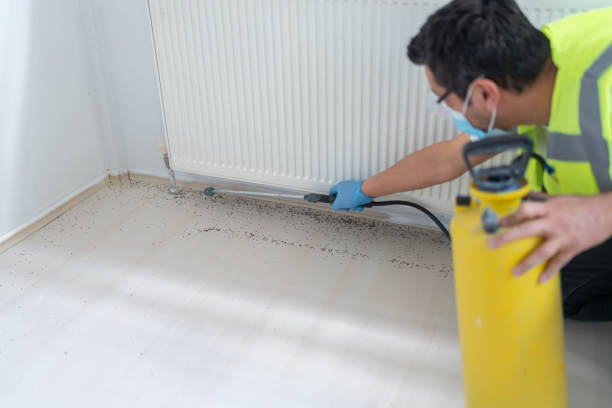 Best Pest Control Near Me  in Dowagiac, MI