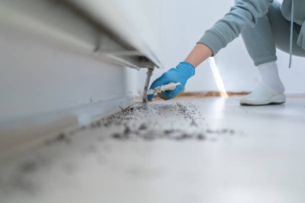 Best Cockroach Control Services  in Dowagiac, MI